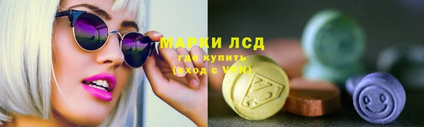a pvp Аркадак