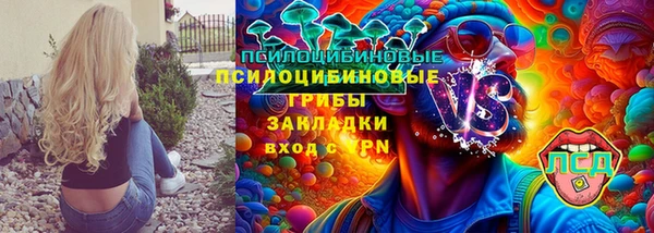 соль ск Балахна